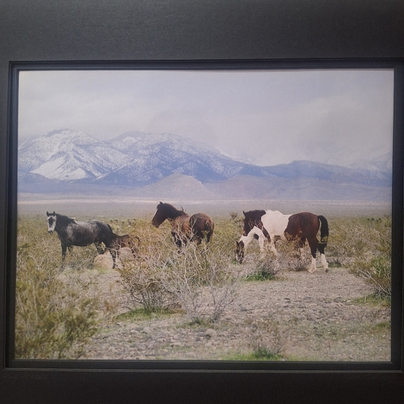 Meet your Posher, Ida - Picture 8 of 16